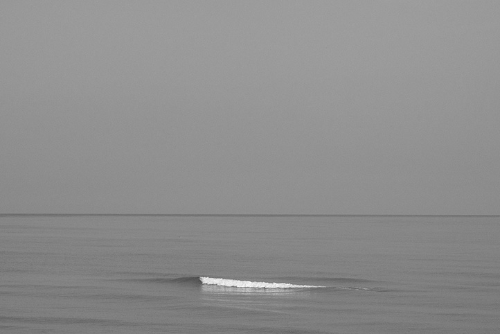 IMG 4999