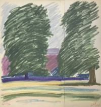 Thirteen landscapes
